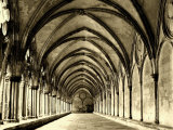 Salisbury Arches