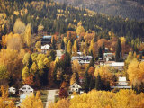 Buy Rossland, British Columbia, Canada at AllPosters.com