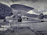 Buy Sea Plane at AllPosters.com