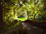 Devonshire Idyll