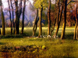 Cotswold Flowers
