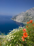 Buy Dalmatian Coast, Croatia at AllPosters.com