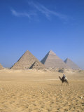 Giza Pyramids, Cairo, Egypt