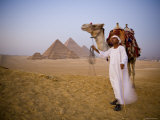 Camel and Driver at the Pyramids, Giza, Cairo, Egypt