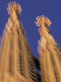 Buy Sagrada Familia, Barcelona, Spain at AllPosters.com