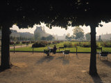 Jardin Des Tuileries, Paris, France