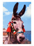 Kitsch Donkey
