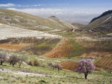 Niha, Bekaa Valley, Lebanon