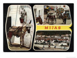 Mijas Postcard with Donkey
