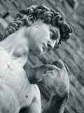 Statue of David, Florence, Tuscany, Italy
