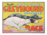 Greyhound Obstacle Race