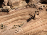 Delicate Arch, Utah