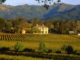 Estate and Vineyard, Napa Valley, California