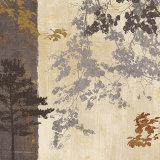 Country Shadows I