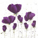 Bloom I