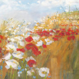 Buy Poppies and Larkspur II at AllPosters.com