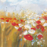 Buy Poppies and Larkspur I at AllPosters.com