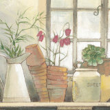 Flower Pots