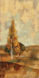 Buy Autumn Hills II at AllPosters.com