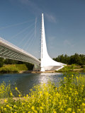 Buy Scenic Walking Bridge over the Sacrament River, Redding, California at AllPosters.com
