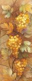 Buy Autumn Grapes I at AllPosters.com