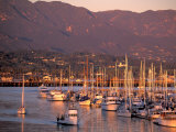 Buy Harbor, Santa Barbara, California at AllPosters.com