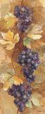 Buy Autumn Grapes II at AllPosters.com