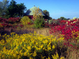 Round Barn and Goldenrod, Grand Rapids, Michigan