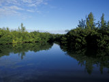 Buy Tidal Lagoons Fringed with Mangroves, Lovers Key SRA, Ft. Meyer's Beach, Florida at AllPosters.com