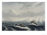 Buy Canoe Broaching to in a Gale of Wind at Sunrise, Journey to the Shores of the Polar Sea at AllPosters.com