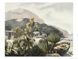 Buy Brazil at AllPosters.com