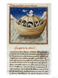 Noah's Ark