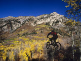 Mountain Biking in Fall, Uinta National Forest, Provo, Utah