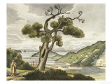 Buy View of the Bay of Avatcha at Kamtchatka at AllPosters.com