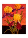 Buy Two Toned Irises at AllPosters.com