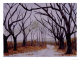 Buy Autumn Road, c.2006 at AllPosters.com