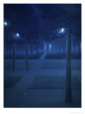 Nocturne Dans Le Parc Royal, Brussels