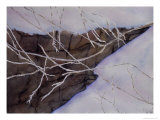 Buy Winter Landscape, c.2006 at AllPosters.com