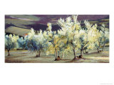 Buy Olive Trees in the Evening at AllPosters.com