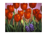 Buy Small Tulips and Hyacinths at AllPosters.com