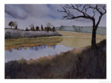 Buy Cape Cod Marsh, c.2006 at AllPosters.com