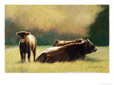 Buy Study of Cows Resting, c.1999 at AllPosters.com