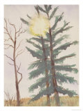 Buy Sunburst Through Tree, c.2006 at AllPosters.com
