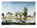 The Oliver Plantation