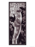 Buy Nude in the Woods at AllPosters.com