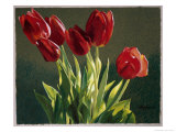 Buy Red Tulips at AllPosters.com