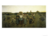 Buy La Rappel Des Glaneursthe Recall of the Gleaners at AllPosters.com