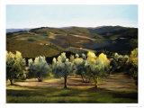 Buy Olive Grove in Italy at AllPosters.com