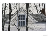Buy Voyeur at AllPosters.com