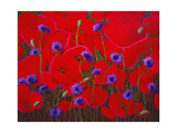 Buy Poppies and Batchelor Buttons at AllPosters.com